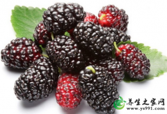 桑葚酒的功效与作用、禁忌好处_家庭桑葚泡酒的做法及配方
