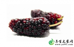 桑葚制品有哪些？桑葚的吃法及桑葚制品制作方法
