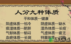 ​体质的特点_体质的特征