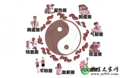 中医体质分类及特点_王琦九大体质分类标准及特征