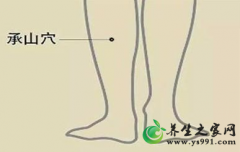 改善湿热体质的五大保健穴位_湿热体质穴位养生方法