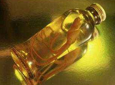 补益肾气的药酒配方大全_补益肾气中药泡酒配方
