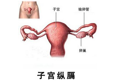子宫肌瘤变性是怎么回事?常见的子宫肌瘤变性5种类型