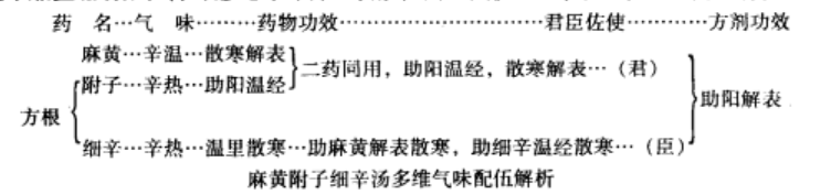 麻黄附子细辛汤气味配伍规律与临床应用