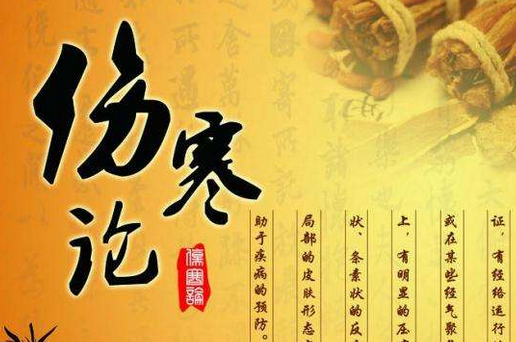 论伤寒、温病神昏谵语之原因及治法
