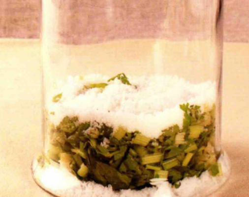 芹菜酵素的做法大全_芹菜和什么能做酵素?配方大全