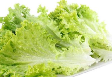 如何自制​生菜酵素?​生菜酵素的作用、功效与方法步骤流程