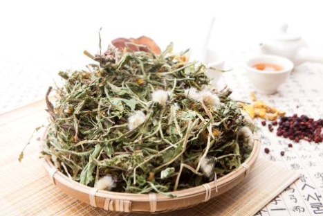王一鸣重用蒲公英治热秘经验
