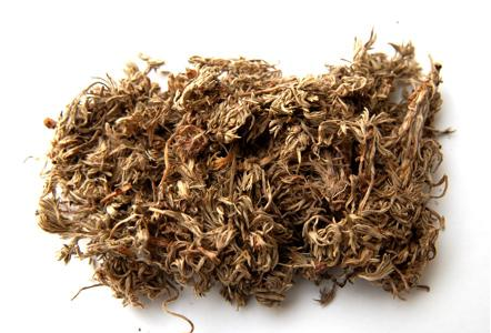 茵陈合败酱草药对配伍的作用与功效_能一起泡水喝吗