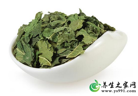 桑叶的功效与作用_桑叶的吃法、桑叶茶泡水的好处