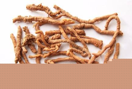远志能补肾壮阳吗？壮阳作用与功效