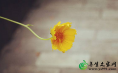 表达感激之情能减少人际冲突