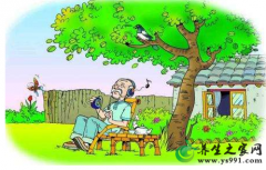 老年人乘凉与露宿注意事项