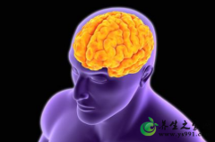 脑梗塞的治疗方法与预防措施
