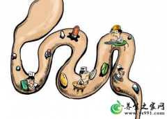 水果酵素能排毒是真的吗？酵素排毒的效果如何