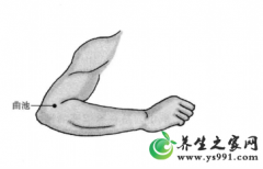 湿热体质经络调理养生法_湿热体质按摩、刮痧、拔罐疗法