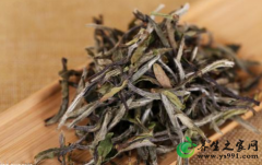阴虚体质喝什么茶好?阴虚体质茶疗养生方​大全