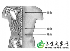特禀体质经络养生调理法_改善过敏体质的穴位