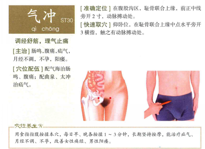 男性女性气冲的准确位置图片及作用功效、常用配伍