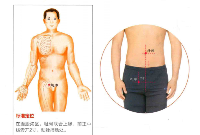 如何按摩气冲穴可治疗月经不调?