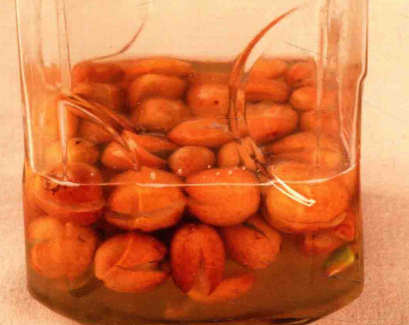 如何自制黄皮酵素?黄皮酵素的制作方法步骤与作用功效