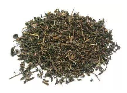 旱莲草与女贞子的功效异同_相同不同点与区别与对比