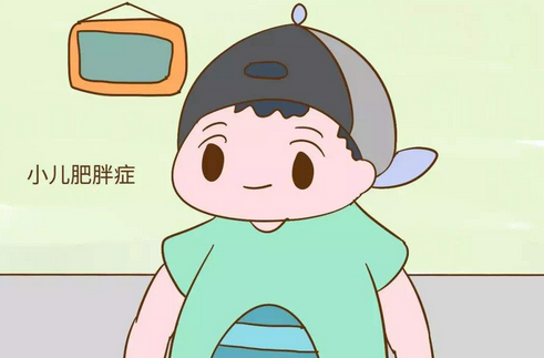 小儿肥胖症患者如何保健养生?日常注意事项与食疗方