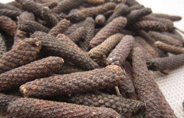 中药荜拨的配伍应用与药对禁忌_荜拨的性味归经功效作用