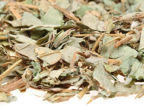 广金钱草的验方处方大全_广金钱草的小偏方与用法吃法