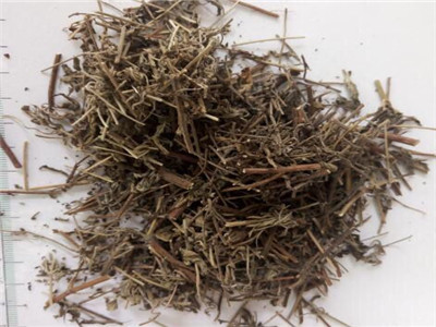 夏天喝香薷饮解暑汤的作用功效_香薷饮的做法