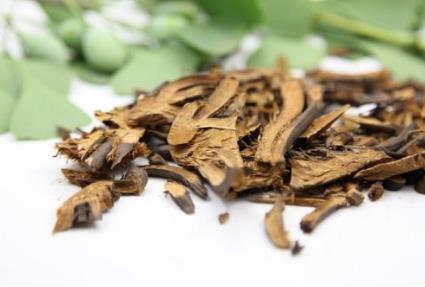 绵马贯众的作用与功效_绵马贯众的药理作用与临床应用