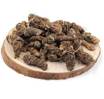 半枝莲的作用与功效_半枝莲的药理作用与临床应用