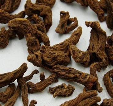红大戟的作用与功效_红大戟的药理作用与临床应用