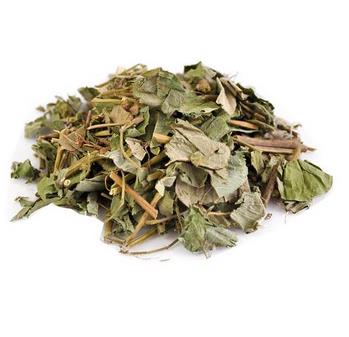 广金钱草的作用与功效_广金钱草的药理作用与临床应用