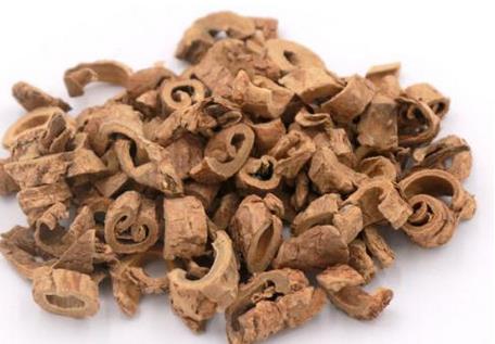 香加皮的作用与功效_香加皮的药理作用与临床应用