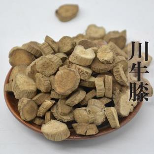 川牛膝的作用与功效_川牛膝的药理作用与临床应用