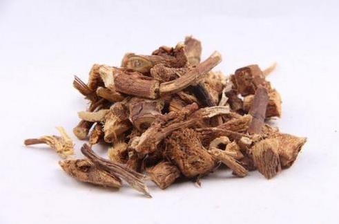 红芪的作用与功效_红芪的药理作用与临床应用