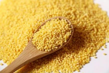 小米的营养价值与食用禁忌_小米的营养成分与性征用法
