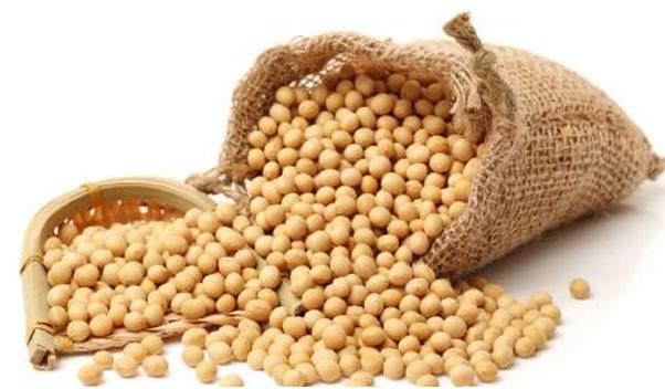 大豆的营养价值与食用禁忌_大豆的营养成分与性征用法