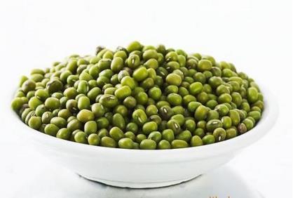 绿豆的营养价值与食用禁忌_绿豆的营养成分与性征用法