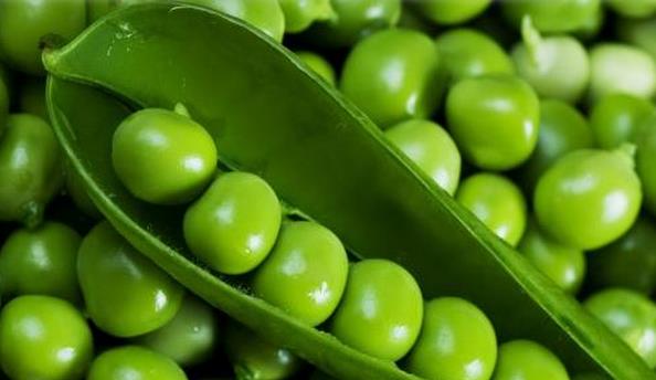 豌豆的营养价值与食用禁忌_豌豆的营养成分与性征用法