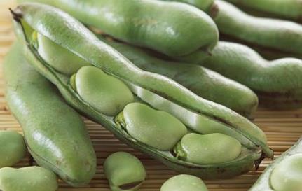 蚕豆的营养价值与食用禁忌_蚕豆的营养成分与性征用法