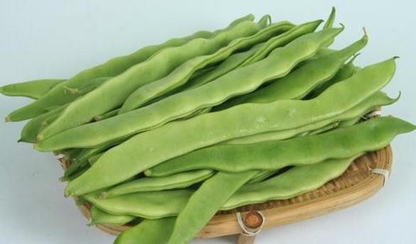 扁豆的营养价值与食用禁忌_扁豆的营养成分与性征用法