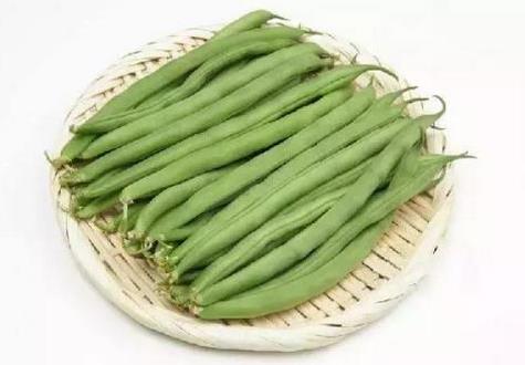 菜豆的营养价值与食用禁忌_菜豆的营养成分与性征用法