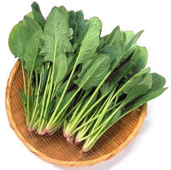 菠菜的营养价值与食用禁忌_菠菜的营养成分与性征用法
