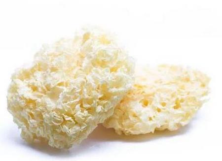 银耳的营养价值与食用禁忌_银耳的营养成分与性征用法