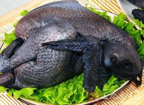 乌骨鸡肉的营养价值与食用禁忌_乌骨鸡肉的营养成分与性征用法