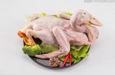 鸭肉的营养价值与食用禁忌_鸭肉的营养成分与性征用法
