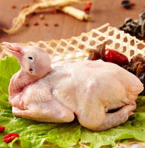 鸽肉的营养价值与食用禁忌_鸽肉的营养成分与性征用法