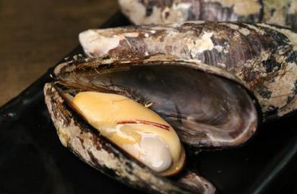 淡菜的营养价值与食用禁忌_淡菜的营养成分与性征用法